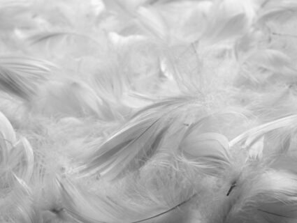 Подушка Nature’S-Natura Sanat Для мужчин 70х70