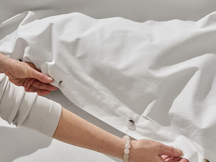 Комплект постельного белья Luxberry Вечерние стрекозы