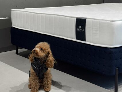 Матрас Materlux Aventino Forte 60х120