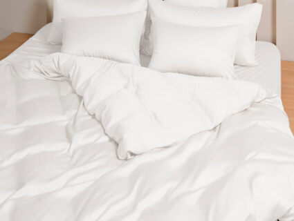 Наволочка German Grass Arctic White Brilliant Grass (2 шт.) 50х90