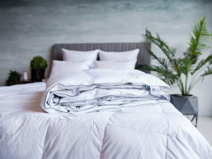 Одеяло German Grass Gray Familie Down всесезонное 200х200